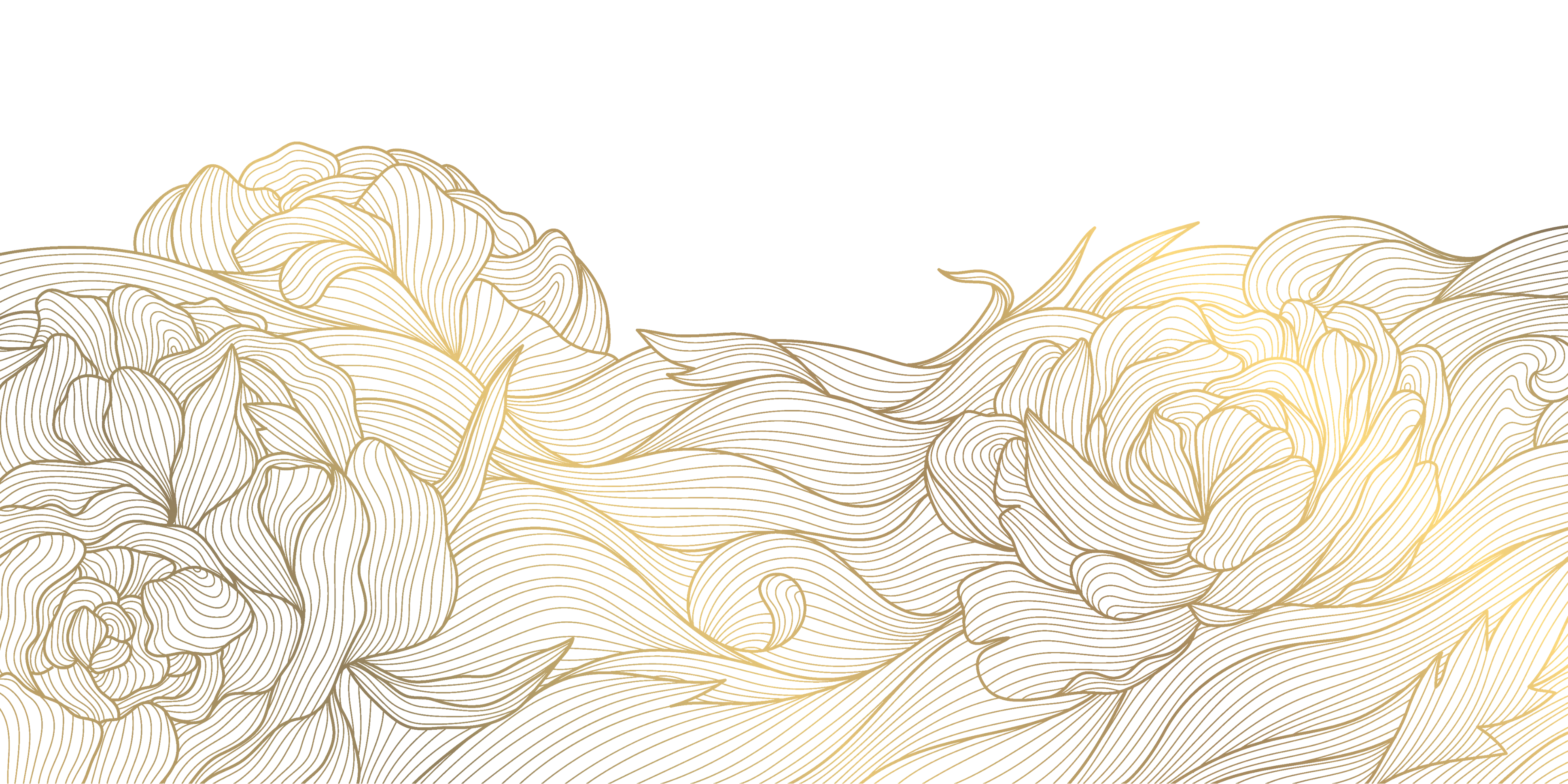 r1111-1-10-5mb-1775085598113.png
